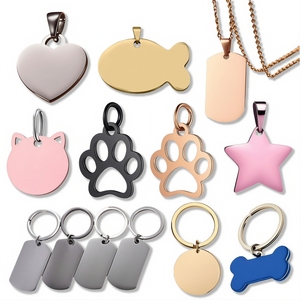 Customizable Printed Epoxy Resin Bone Shaped Dog Cat Pet Tag Drop Collar Keychain Fairy Music Pyramid for Pets Business