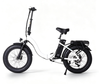 Vélo Électrique Pliant Tout-Terrain à Pneus Larges 20 Pouces, Deux Places, à Batterie, pour l'Extérieur - Vente en Gros Direct Usine - BE067