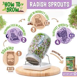 Radis <span class=keywords><strong>bio</strong></span> 200 G Rambo Microgreens Kit de culture de paquets de truies de <span class=keywords><strong>jardin</strong></span> Truies de <span class=keywords><strong>jardin</strong></span> pour la plantation et la suspension en intérieur - Product Image 3