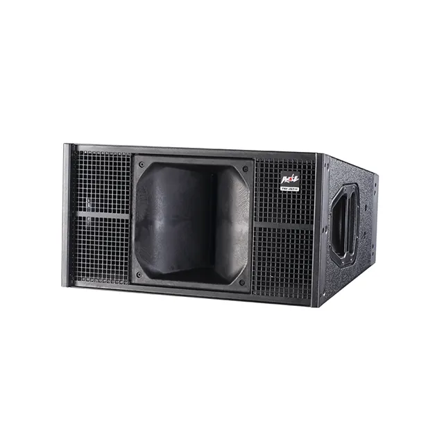 Dual 10 inch full range Martin Q1 speaker systeem