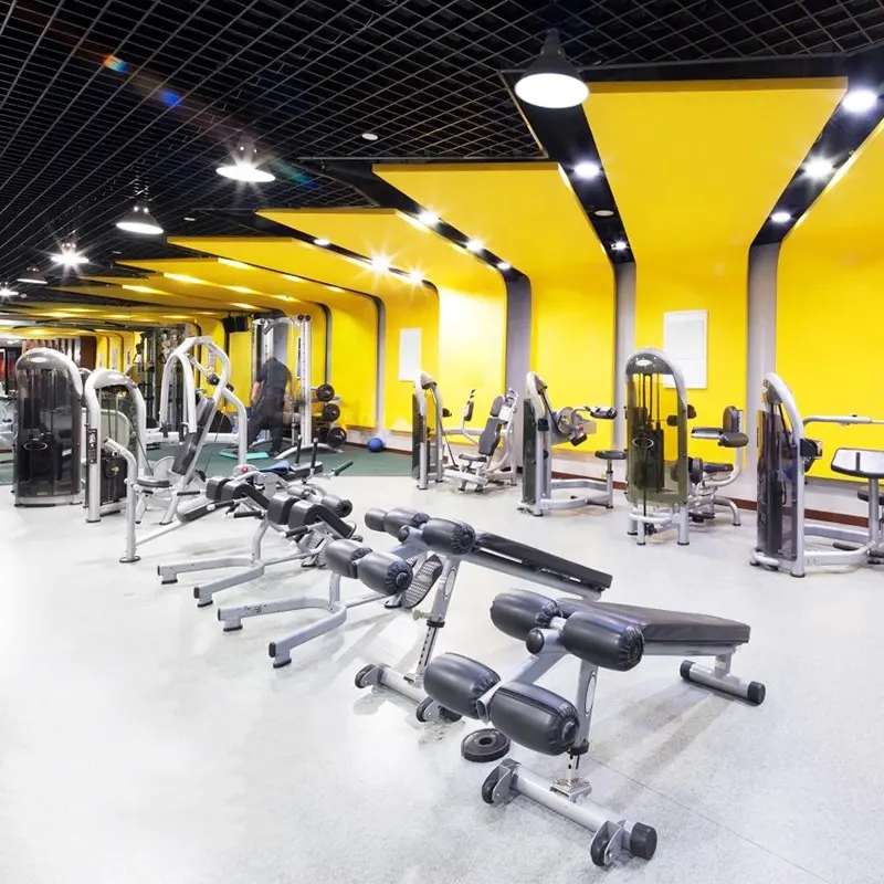 Çin profesyonel komple kapalı spor salonu otel Fitness ticari spor salonu ekipmanı