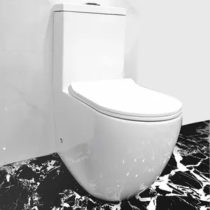 双冲水马桶陶瓷一体式抽水马桶平底锅便携式马桶慢速座地板站立BTW WC洗衣机坐浴盆马桶