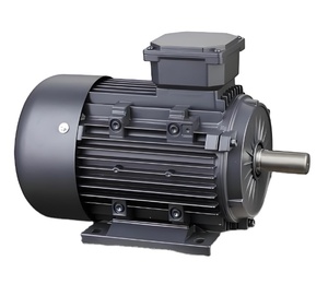 Moteurs AC Innomotics 400V 460V 690V 37KW 50HP 45KW 60HP 55KW 75HP 90KW 110HP 150HP GP (Usage Général) - Product Image 3