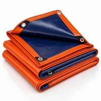 Bâche en PE pour extérieur, bâche en polyéthylène avec protection UV, tissu plastique en feuille de taille standard pour l'agriculture/l'industrie