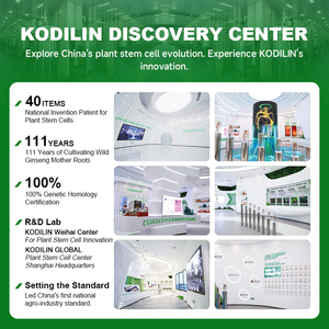 Kodilin太空培育技术1g/25g/1kg实验室验证富含Rg3高活性人参皂苷干人参侧生根 - Product Image 3