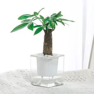 Vasos de plantas de rega automática, venda quente de potes de flores estilo coreano, pequeno, quadrado, a granel, para jardim