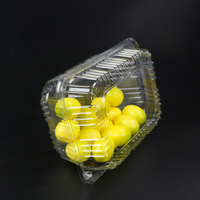 Plastic Vers Fruit Doos Verpakking, Wegwerp Plastic Clamshell Voedselcontainers Afhaalmaaltijden Salade Container Pp P P
