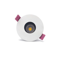Rondelle murale à trou de broche 10W Cob veilleuse projecteur réglable encastré Led plafonnier avec télécommande