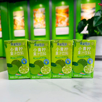 Kleine Groene Lime Fruitdrank 125ml Verfrissende Mini Doosjes Sap Groothandel Drank voor Supermarkt Kinderdrankjes