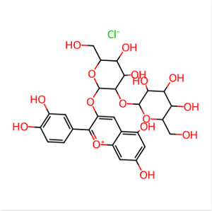 Cyanidin 3-O-sophoroside <b>Chloride</b>, Reference Standard, ≥98% HPLC, CAS 18376-31-3 - Product Image 1