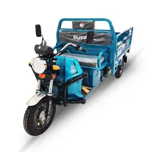 Factory Three Wheel Electric Cargo Closed Cabin Motorcycle Tricycle