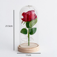 Lampe Chaude à Fleur Éternelle avec Couvercle en Verre, Rose Artificielle Lumineuse, Cadeau de Saint-Valentin et de Noël, Vente en Gros Transfrontalière