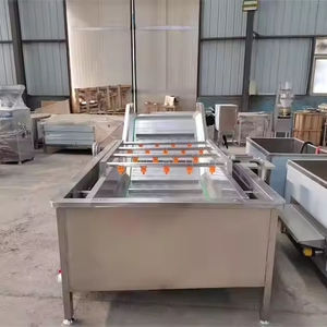 Laveuse de légumes industrielle compacte et portable pour choux et autres légumes, à bulles continuées - Product Image 2