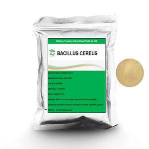 YD-BC <span class=keywords><strong>Bacillus</strong></span> <span class=keywords><strong>Cereus</strong></span>-Bacteriën Die Worden Gebruikt Voor De Landbouwteelt/Toevoegingsmiddelen Voor Aquacultuurvoeding <span class=keywords><strong>Bacillus</strong></span> <span class=keywords><strong>Cereus</strong></span> - Product Image 1