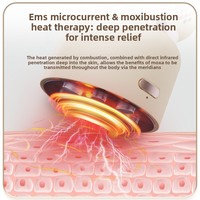 Nouveau Masseur Facial Électrique Portable à Batterie pour Moxibustion et Gua Sha, avec Importation de Fumée de Moxa et Pierre Bian