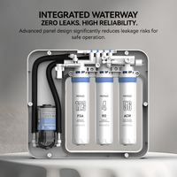 Sistema de Ósmosis Inversa (RO) OEM/ODM de 100 GPD, 6 Etapas, Filtro Purificador de Agua Bajo Fregadero para Cocina, Cafetera Espresso, Máquinas de Hielo, Uso Doméstico