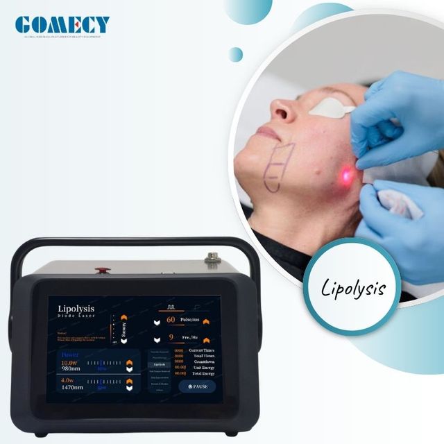 Professional 980nm 1470nm 635nm Diode Laser for EVLT Lipolysis Pain Relief Vascular Removal and Medical Surgical Therapy