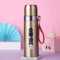 Bouteille isotherme de sport en acier inoxydable 304 de 500 ml avec sangle, gourde thermique sous vide en forme de balle pour la gym, vente en gros