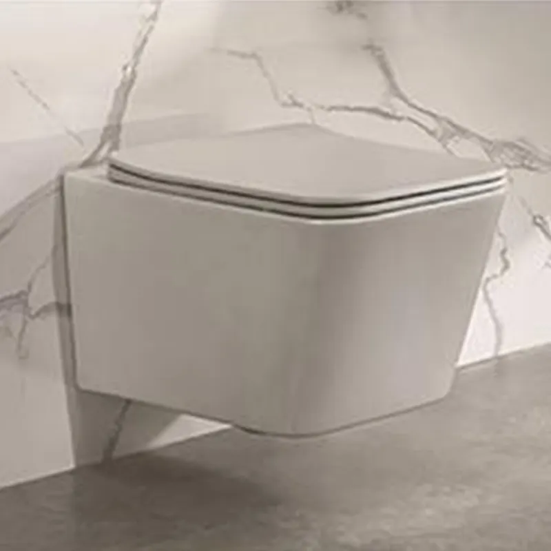 Sanitair Keramische Kleur Één Stuk Wc Muur-Opgehangen Toilet Voor Badkamer