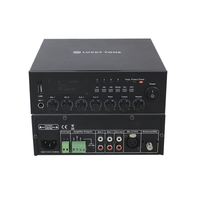 Lucky Tone 30/60W Mini Digital 1-Channel Mixer Amplifier with for Bluetooth Support for PA Home Commercial School Church Mall