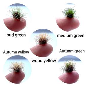 8 mm91 Rund gras Cluster Modellbahn Gleis Szene Kunststoff Material Militär Sand Tisch DIY Form Grünland - Product Image 5