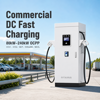 Stations de recharge DC pour véhicules électriques sur pied OEM 80 kW 120 kW 240 kW CCS GBT Chademo avec prise en charge à distance - Prix compétitif