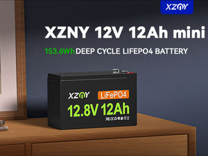 XZNY Kompakte Deep-Cycle 12V 12Ah LiFePO4 Batterie mit integriertem 20A BMS, wiederaufladbares USV-System als Ersatz für Solar-Scooter - Product Image 1