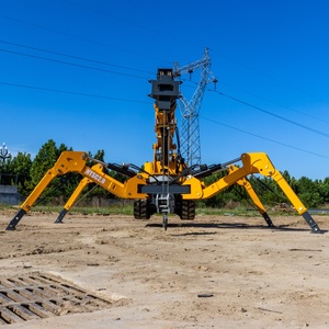 Bestselling Products Best-selling Supply Compact Access Crawler Spider <b>Crane</b> 3 Ton Well Suited for Versatile Hoisting Operations - Product Image 2