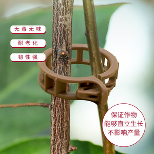 Abrazaderas de plástico para plantas, para enredaderas y plántulas, clips de fijación duraderos para jardín, para frutas, verduras y plantas trepadoras - Product Image 2