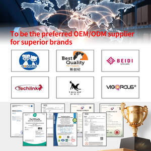 Hundehalsband mit Leine und Verstellbarer Schnalle, 1/2 Zoll Hundehalsband-Schnalle, Hundegeschirr-Halsriemen - Product Image 6