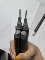 Câble Aérien JKLYJ-1kV à Âme en Aluminium Isolé XLPE, Câble Aérien JKLYJ 1kV Isolé XLPE à Âme en Aluminium Basse Tension XLPE