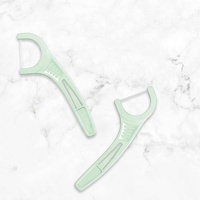 Fil dentaire dissimulé avec cure-dent multifonctionnel pour nettoyage interdentaire, bâtonnet de fil dentaire en plastique saveur menthe, prix de gros, soins bucco-dentaires