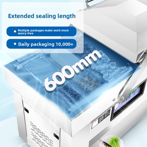 Scelleuse sous vide à double chambre R-Pack, facile à utiliser, pour aliments (anti-humidité et anti-oxydation), emballage en boîte ou en sac, scellage sous vide à double chambre - Product Image 6