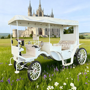 รถม้าแต่งงานสุดหรู ย้อนยุค สำหรับชมวิว ผลิตโดยผู้ผลิตยานพาหนะท่องเที่ยวยอดนิยม ขายดีเป็นพิเศษ - Product Image 3