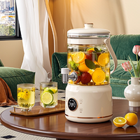 Théière électrique en verre avec contrôle de la température, pour usage hôtelier, avec réservoir d'eau en verre amovible, grande capacité 3/3,5 L, pour la maison et l'extérieur