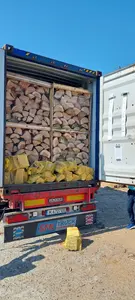 Large Crates Dried FireWood and Nets loaded over the Pallet Boxes Full 40'HC Container BEST PRICE