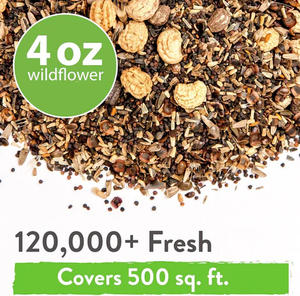 ไวลด์ฟลาวเวอร์25วาไรตี้สไตล์โมเดิร์นแพ็ก4ออนซ์ประสิทธิภาพสูงไม้ยืนต้นกลางแจ้งสำหรับพื้นที่กลางแจ้ง - Product Image 6