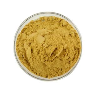 Горячая продажа: высококачественный натуральный экстракт Xanthoparmelia Scabrosa в порошке, 30% пиперазина, в барабанной упаковке, прямые поставки с завода - Product Image 3