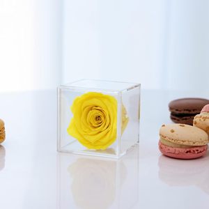 Preserved Rose in a Acrylic Box Real Rose Gift for Her Red Rose