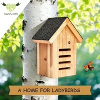Maison coccinelle en bois naturel