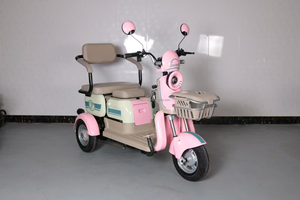 Tricycle électrique à 3 roues en acier EEC Trice 300-8 48V avec moteur de moyeu arrière de 600W pour adultes et personnes âgées, carrosserie ouverte - Product Image 2