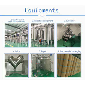 BCC Radix Angelicae Pubescentis özü tozu <span class=keywords><strong>Du</strong></span> <span class=keywords><strong>Huo</strong></span> özü tozu Angelicae Pubescentis özü tozu - Product Image 2