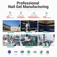 HS OEM Personnalisé 6 Couleurs 9D Cat Eye Gel Polish Set Sans HEMA Nail Art Vente en Gros Marque Privée Magnétique UV LED Soak Off Gel