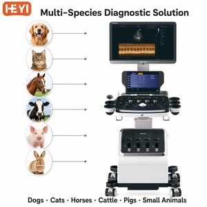 Sistema de Diagnóstico por Ultrasonido Veterinario Profesional Clase II para Clínicas de Gatos HEYI P70vet, Sonda Microconvexa Doppler a Color de Alta Gama - Product Image 6