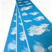 Panneau mural et de plafond en PVC ignifuge moderne le plus vendu avec grille de plafond pour salon