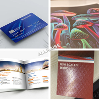 PET PVC Id Card A3 Película protectora de papel Spot UV Oil Coating Barniz Máquina Automática Spot UV Screen Coating Printing Machine