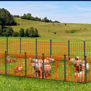 Rete Elettrica Verde <span class=keywords><strong>per</strong></span> Pollame, Recinzione Elettrica Portatile <span class=keywords><strong>per</strong></span> Polli e Animali con Filo in Polietilene Resistente - Product Image 4