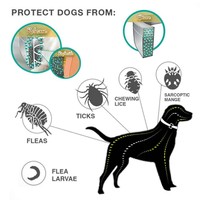 Collier pour animaux de compagnie en silicone réglable et imperméable, anti-puces et anti-tiques, à libération rapide, formule naturelle, protection de 8 mois pour chiens et chats