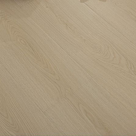 HTT551รุ่นหนา12มม