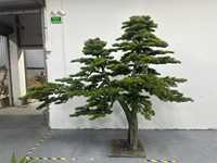 Árbol de Pino Chino Artificial para Decoración de Entrada, Hogar u Oficina